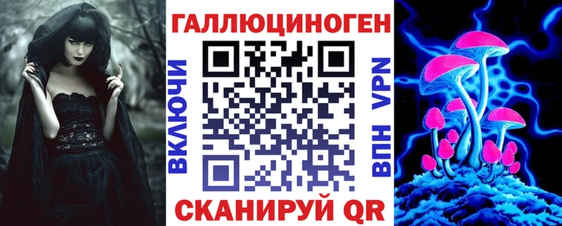 Псилоцибиновые грибы Psilocybe  OMG маркетплейс  Щёлково  где купить наркоту 