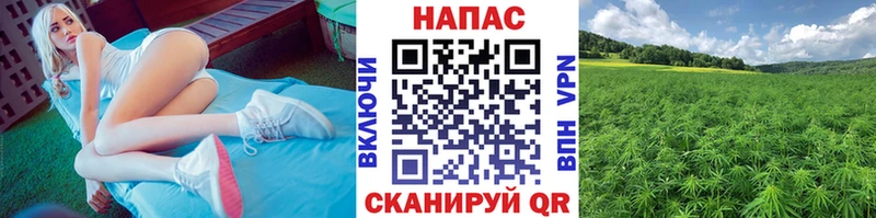Бошки марихуана планчик  закладки  Щёлково 